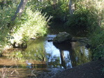 FZ019295 Water flowing Brook House Farm Campsite.jpg